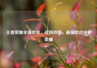 王者荣耀全强坦克，战场铁壁，最强坦边守护荣耀