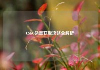 CSGO勋章获取攻略全解析