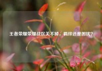 王者荣耀荣耀战区关不掉，羁绊还是困扰？