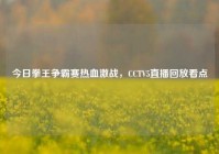 今日拳王争霸赛热血激战，CCTV5直播回放看点