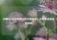 闪耀NBA总冠军舞台的中国身影，总冠军戒指背后探秘