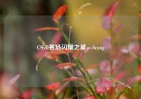 CSGO赛场闪耀之星，Seang