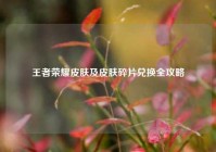 王者荣耀皮肤及皮肤碎片兑换全攻略