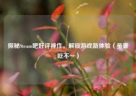 探秘Steam吧好评神作，解锁游戏新体验（虽褒贬不一）