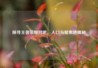 探寻王者荣耀网吧，入口与聚集地揭秘