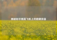 揭秘和平精英飞机上的隐藏装备