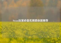 Steam玩家必备优质路由器推荐