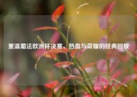 重温葡法欧洲杯决赛，热血与荣耀的经典回放