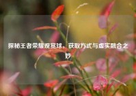 探秘王者荣耀观赏球，获取方式与虚实融合之妙