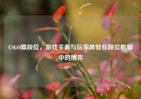 CSGO隔段位，游戏平衡与玩家体验在段位机制中的博弈