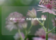 逆战3.13 - 3.16，热血与激情的盛宴