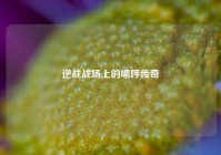逆战战场上的嗯哼传奇