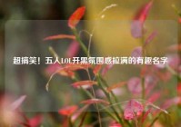 超搞笑！五人LOL开黑氛围感拉满的有趣名字