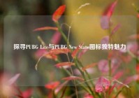 探寻PUBG Lite与PUBG New State图标独特魅力