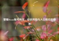 警惕Steam账号购买，安全风险与入口背后的隐患