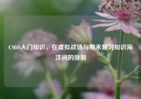 CSGO入门知识，在虚拟战场与期末复习知识海洋间的徘徊