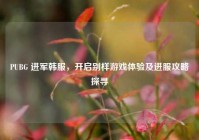 PUBG 进军韩服，开启别样游戏体验及进服攻略探寻