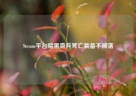 Steam平台暗黑奇兵死亡装备不掉落