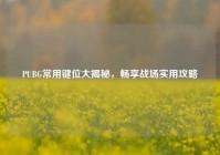 PUBG常用键位大揭秘，畅享战场实用攻略