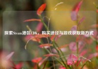 探索Steam港区CDK，购买途径与游戏获取新方式