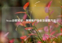 Steam谷歌验证，保障账户安全及设置方法