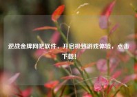 逆战金牌网吧软件，开启极致游戏体验，点击下载！
