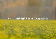 CSGO，我的竞技人生与个人竞技体验