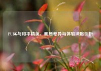 PUBG与和平精英，画质差异与体验深度剖析