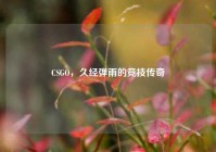 CSGO，久经弹雨的竞技传奇