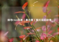 探寻CSGO苏果（果小果）照片背后故事
