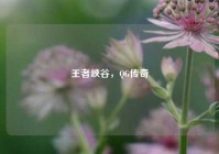 王者峡谷，QG传奇