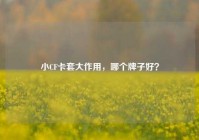 小CF卡套大作用，哪个牌子好？