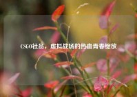 CSGO社员，虚拟战场的热血青春绽放