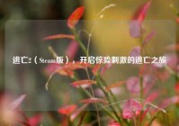 逃亡2（Steam版），开启惊险刺激的逃亡之旅