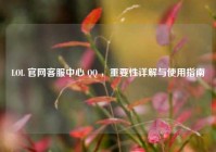LOL 官网客服中心 QQ ，重要性详解与使用指南