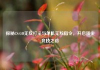 探秘CS:GO无敌打法与单机无敌指令，开启顶尖竞技之路