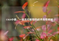 CSGO小镇，一箱丢石板烟的战术传奇揭秘