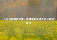王者荣耀游戏优化，提升体验关键之路及查询途径