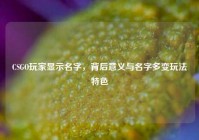 CSGO玩家显示名字，背后意义与名字多变玩法特色