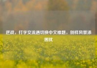 逆战，打字交流遇切换中文难题，别样风景添困扰