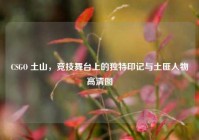 CSGO 土山，竞技舞台上的独特印记与土匪人物高清图