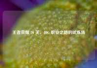 王者荣耀 20 关，JDG 职业之路的试炼场