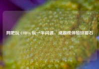 网吧玩 COD16 玩一半闪退，成游戏体验绊脚石
