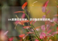 LOL狐狸技能探秘，灵动魅惑掌控战局