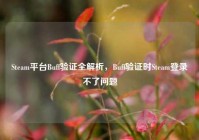 Steam平台Buff验证全解析，Buff验证时Steam登录不了问题