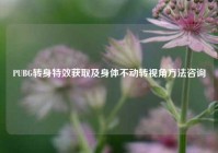 PUBG转身特效获取及身体不动转视角方法咨询