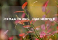 和平精英段位星级解析，迈向竞技巅峰的指引