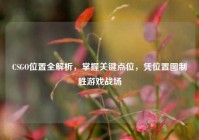 CSGO位置全解析，掌握关键点位，凭位置图制胜游戏战场