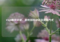 CSGO难民印花，游戏别样印记及获取方式