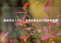 绝地求生（PUBG）语音设置为中文的详细指南